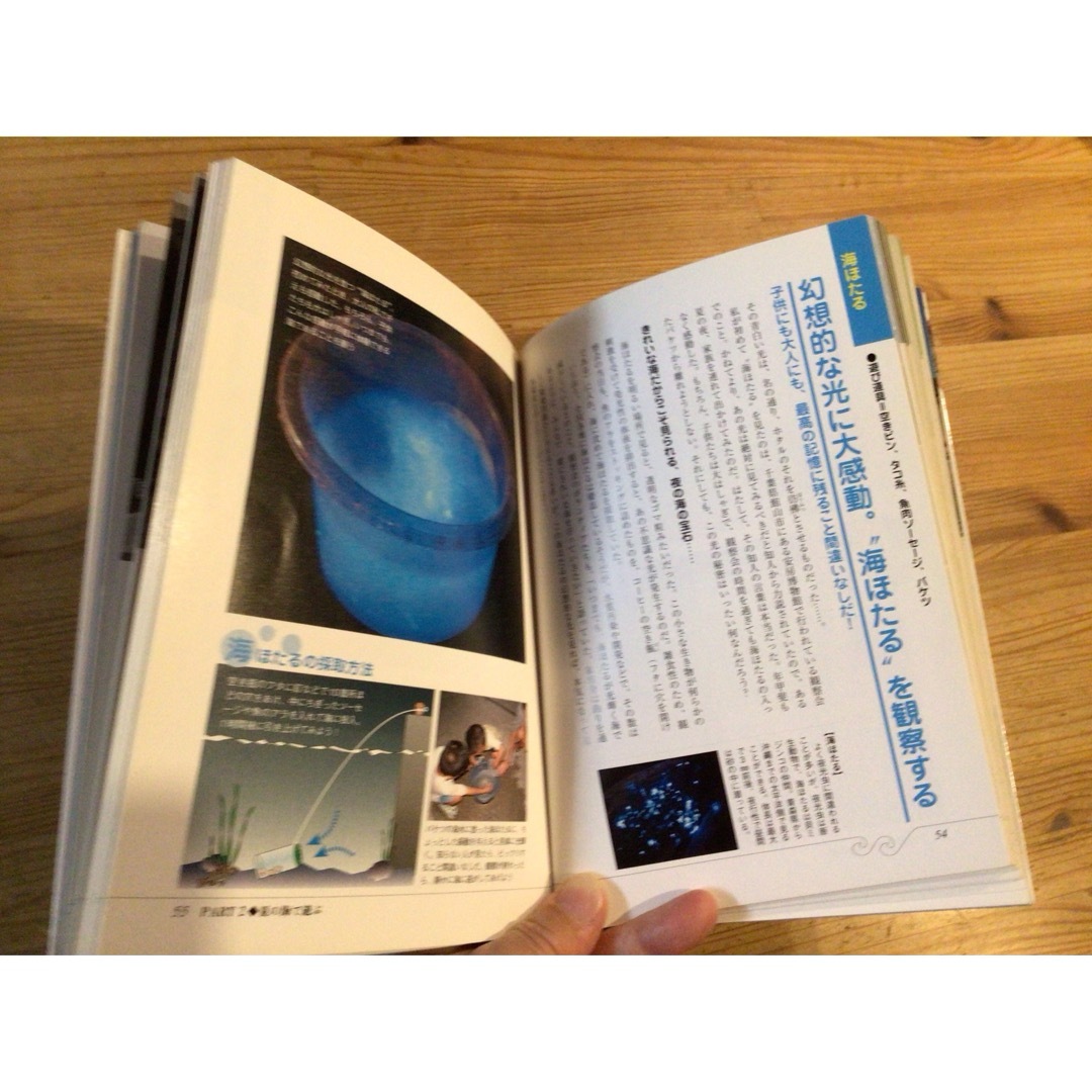海遊びの極意 エンタメ/ホビーの本(趣味/スポーツ/実用)の商品写真