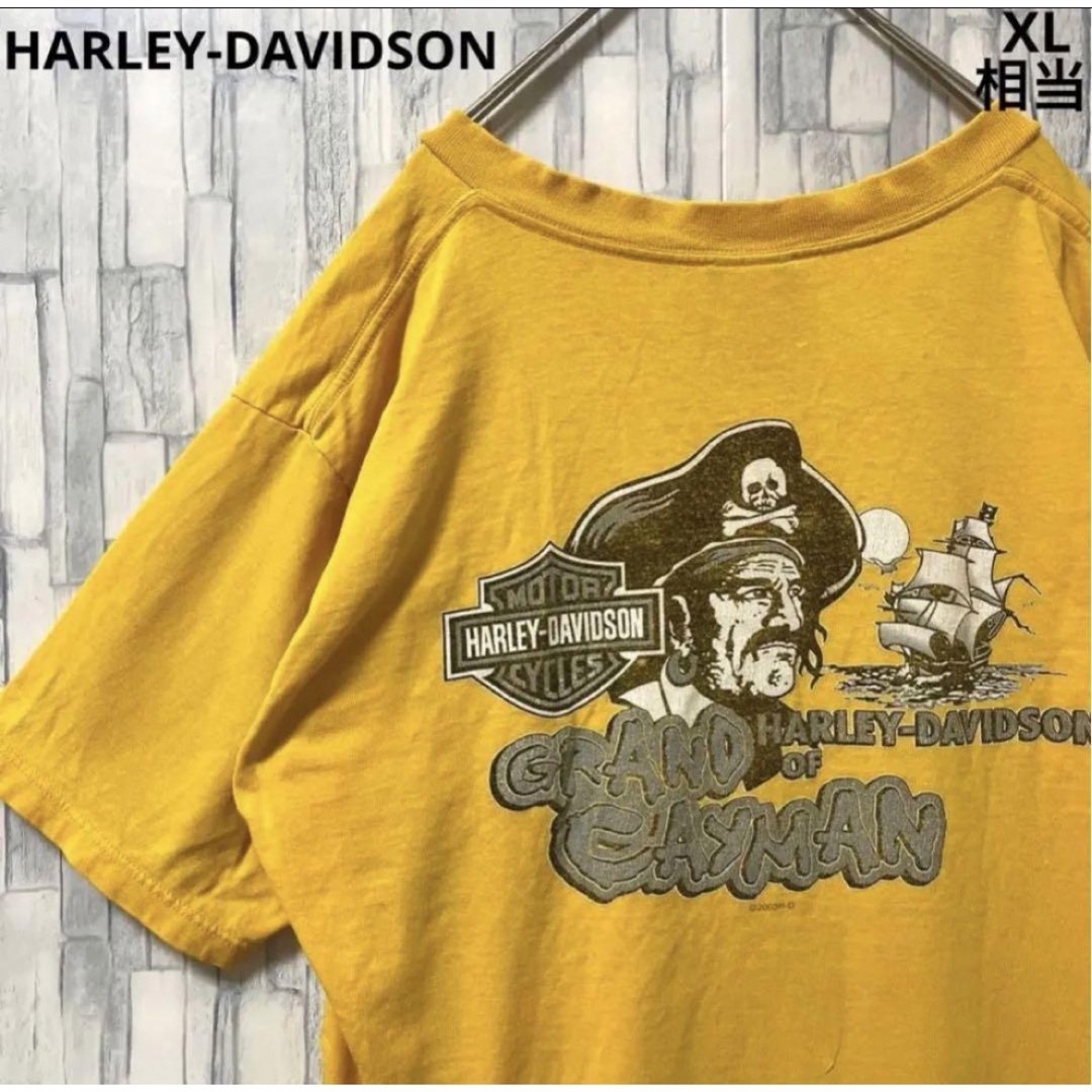 Harley Davidson - ハーレーダビッドソン 半袖Tシャツ ビッグロゴ