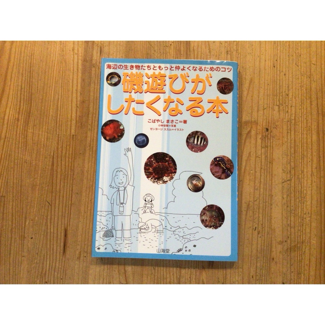 磯遊びがしたくなる本 エンタメ/ホビーの本(科学/技術)の商品写真