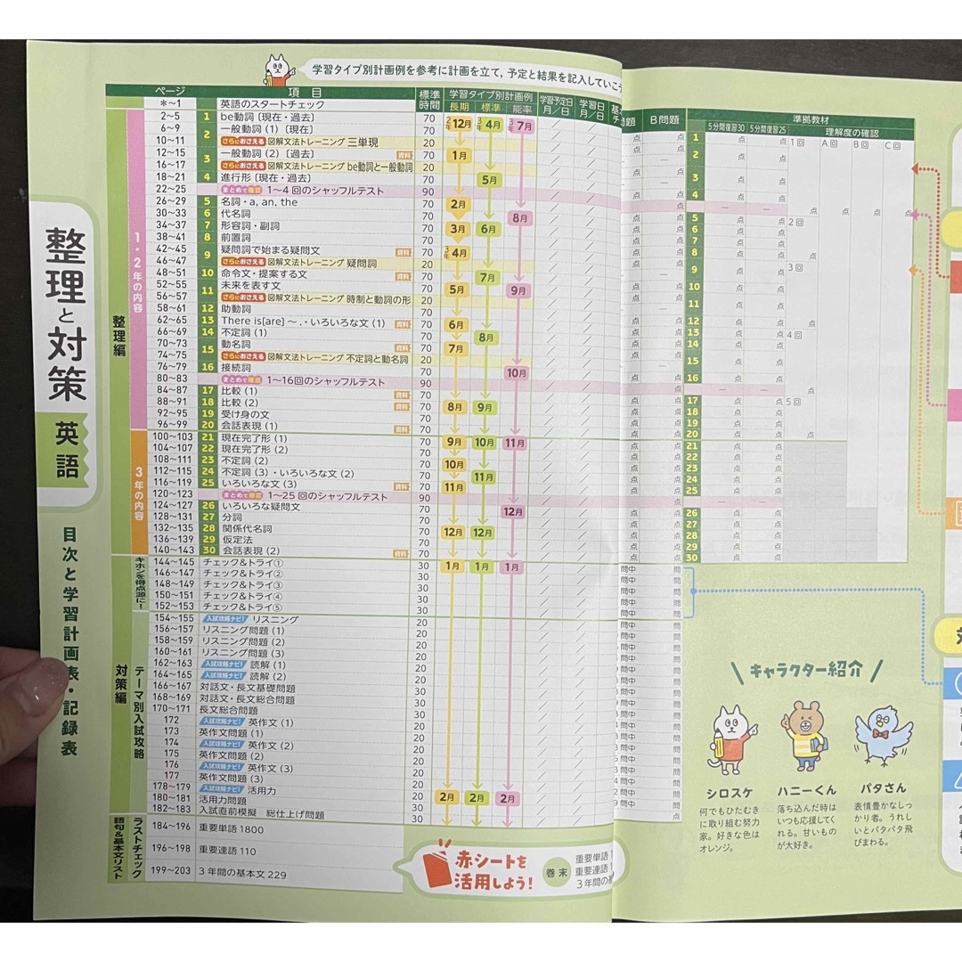 3年間の総まとめと入試対策　整理と対策【英語】 エンタメ/ホビーの本(語学/参考書)の商品写真