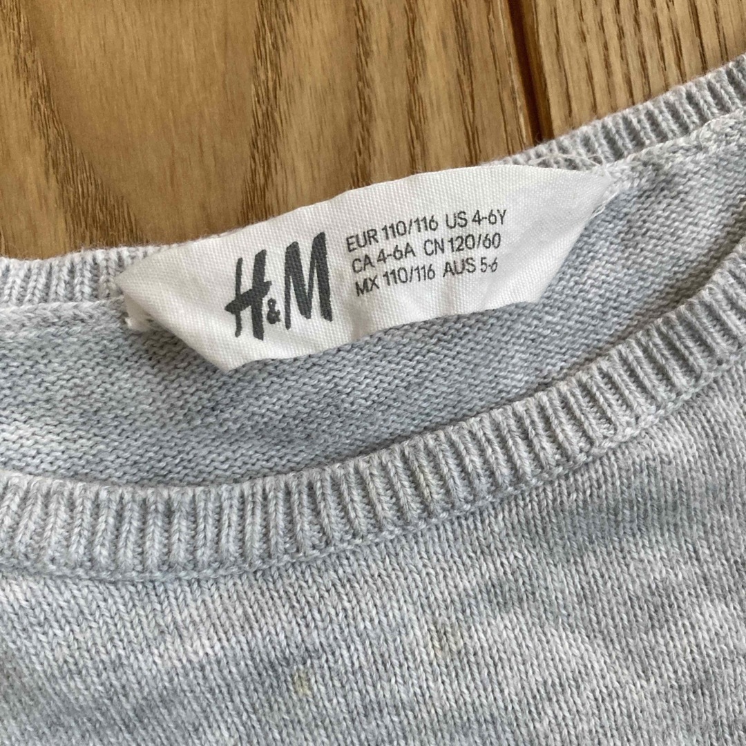 H&M(エイチアンドエム)のH&M トップス　110  キッズ/ベビー/マタニティのキッズ服女の子用(90cm~)(Tシャツ/カットソー)の商品写真