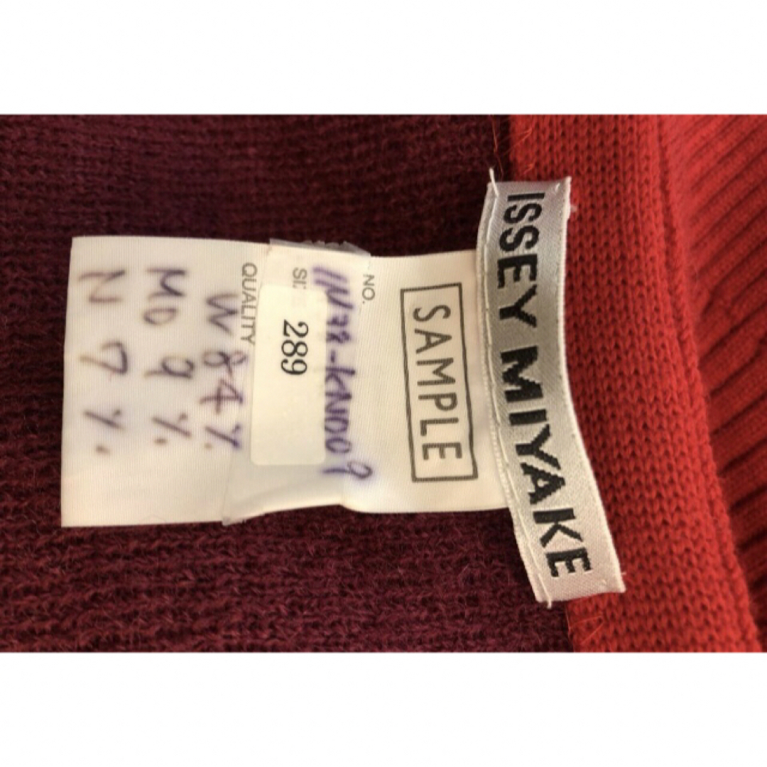 ISSEY MIYAKE(イッセイミヤケ)のISSEY MIYAKE イッセイミヤケ ニット　赤　サンプル　18680926 レディースのトップス(ニット/セーター)の商品写真