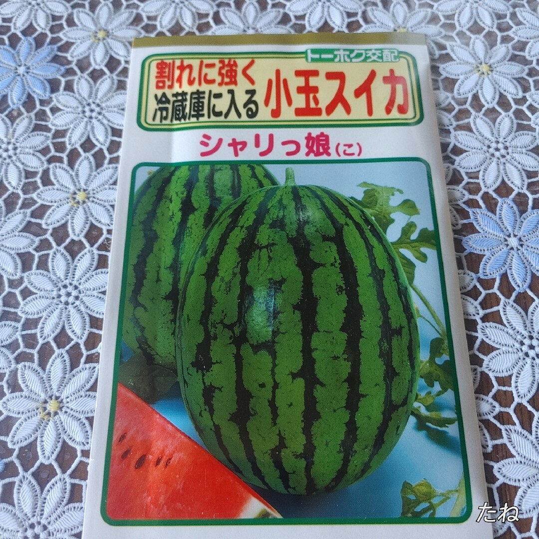 匿名配送】未開封　未使用品　（種）ーーー4月撒き　夏野菜　はじめどき　！！！ーー 食品/飲料/酒の食品(野菜)の商品写真