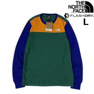 THE NORTH FACE - ノースフェイス 長袖 Tシャツ ロンT US限定(L)青 緑 180902