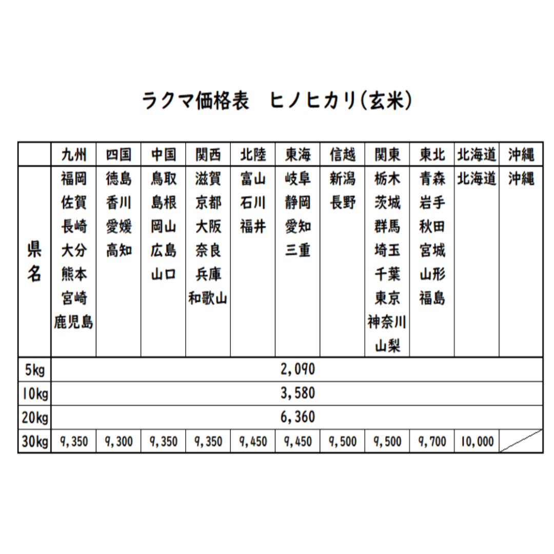 お米　令和5年　愛媛県産ヒノヒカリ　玄米　20㎏ 食品/飲料/酒の食品(米/穀物)の商品写真
