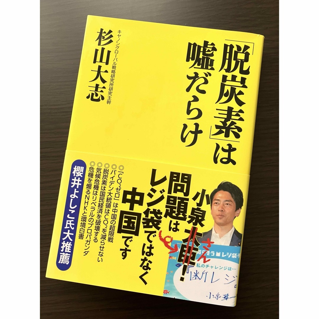 「脱炭素」は嘘だらけ エンタメ/ホビーの本(文学/小説)の商品写真