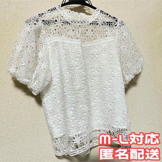 【最終値下げ】半袖 レース カットソー 白 ホワイト Mサイズ Lサイズ(シャツ/ブラウス(半袖/袖なし))