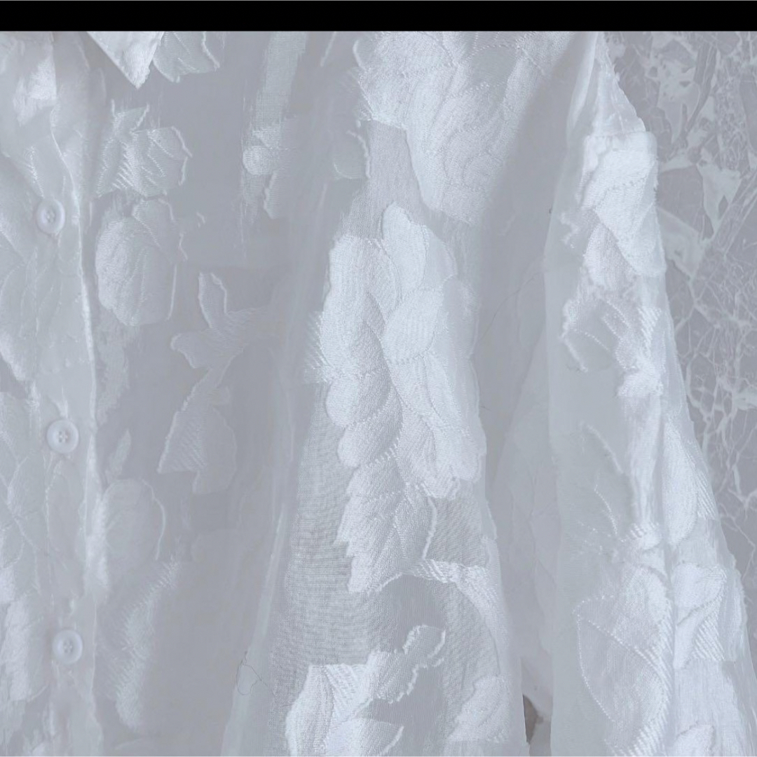 シアーフラワーレースブラウス レディースのトップス(シャツ/ブラウス(長袖/七分))の商品写真