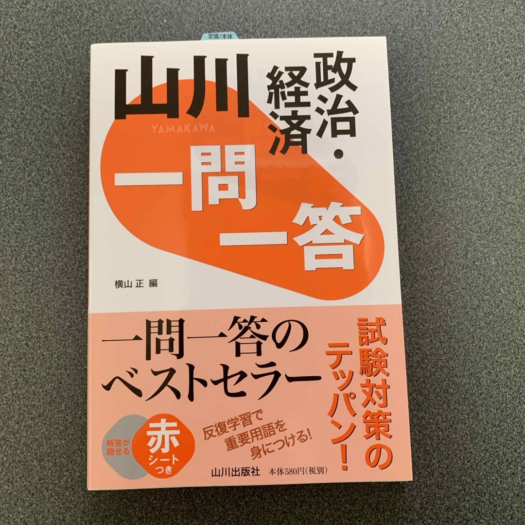 山川一問一答政治・経済 エンタメ/ホビーの本(語学/参考書)の商品写真