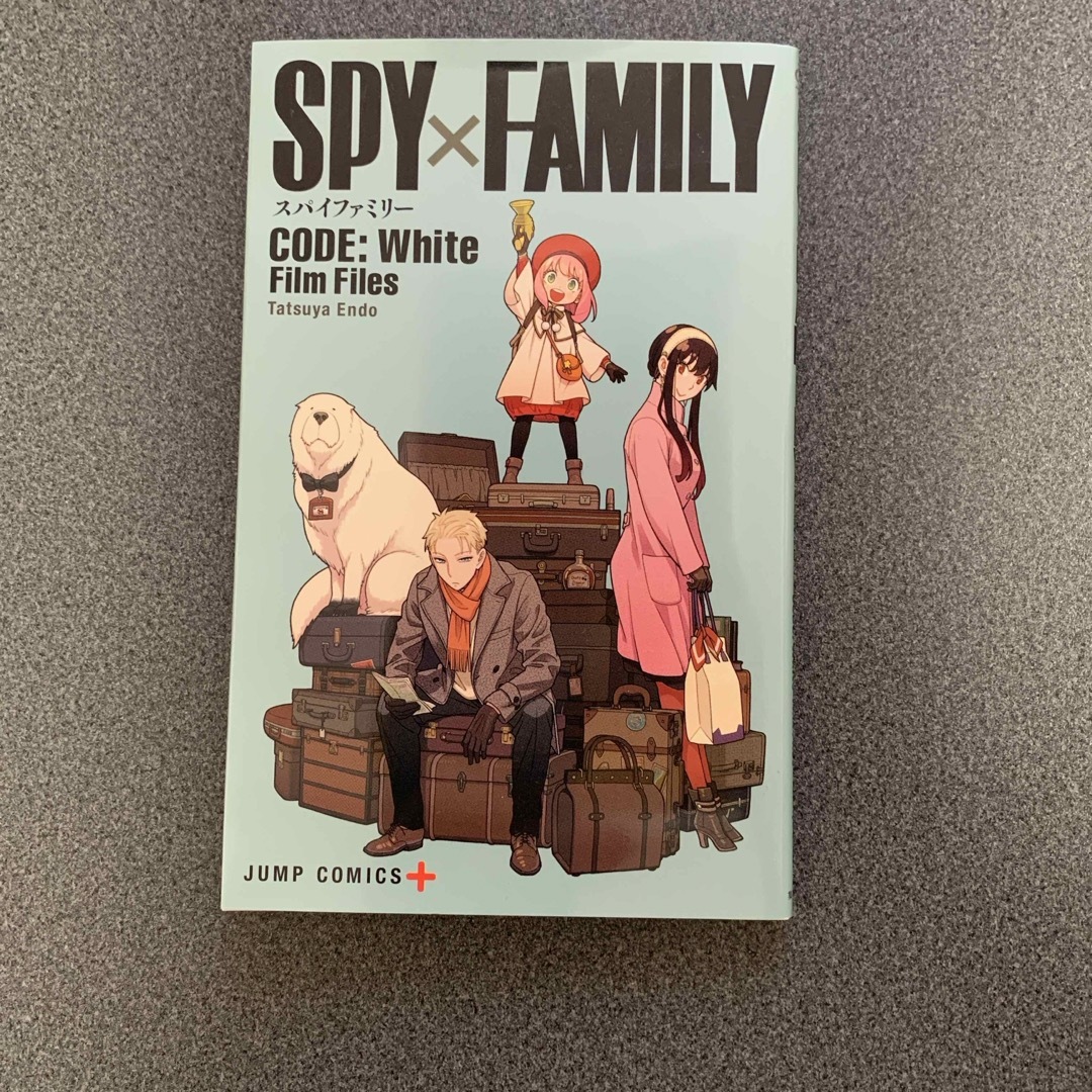 SPY×FAMILY   劇場版　小冊子 エンタメ/ホビーのおもちゃ/ぬいぐるみ(キャラクターグッズ)の商品写真