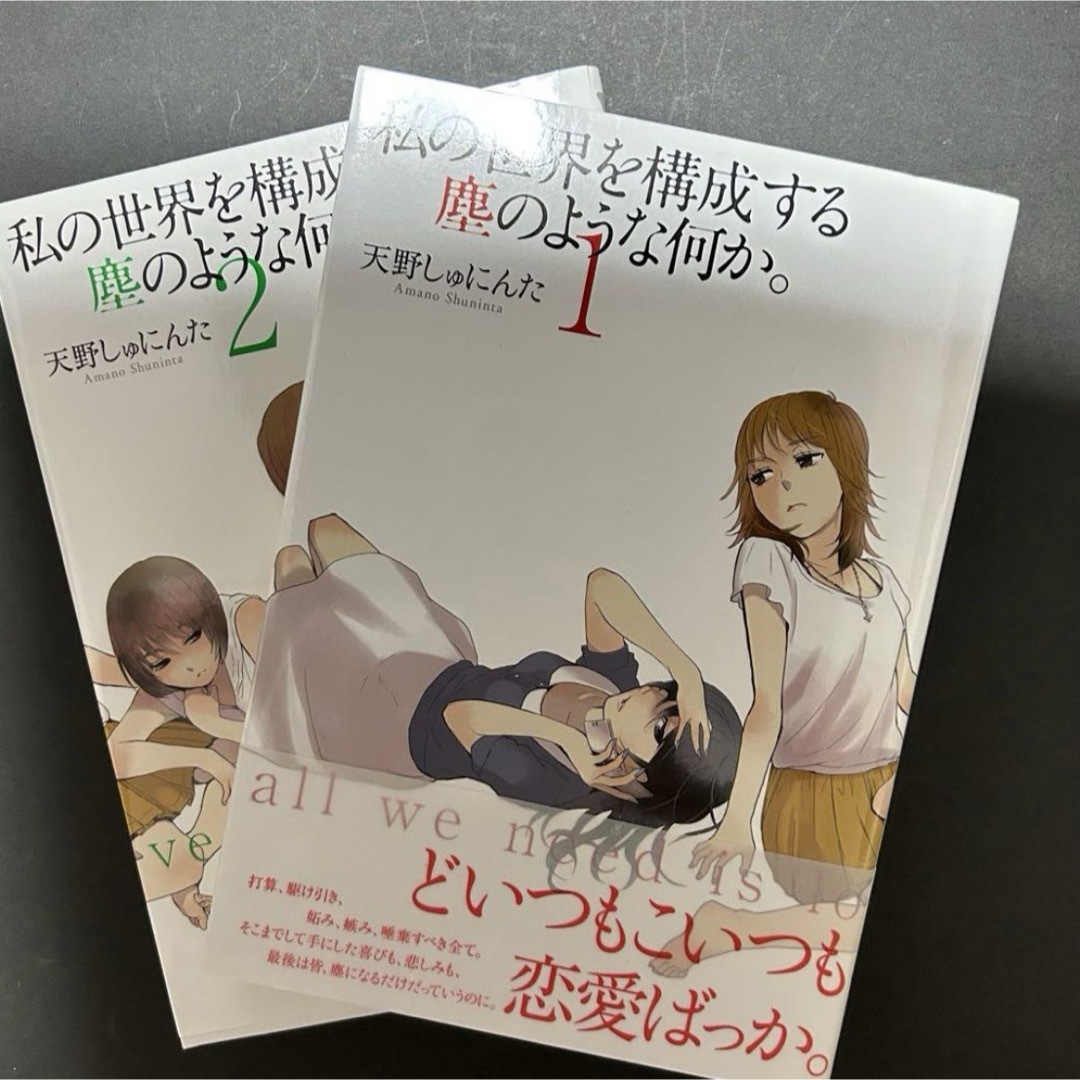 私の世界を構成する塵のような何か。 1巻　2巻　天野しゅにんた エンタメ/ホビーの漫画(その他)の商品写真