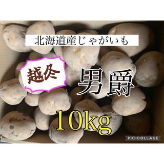 北海道産越冬じゃがいも男爵10kg(野菜)