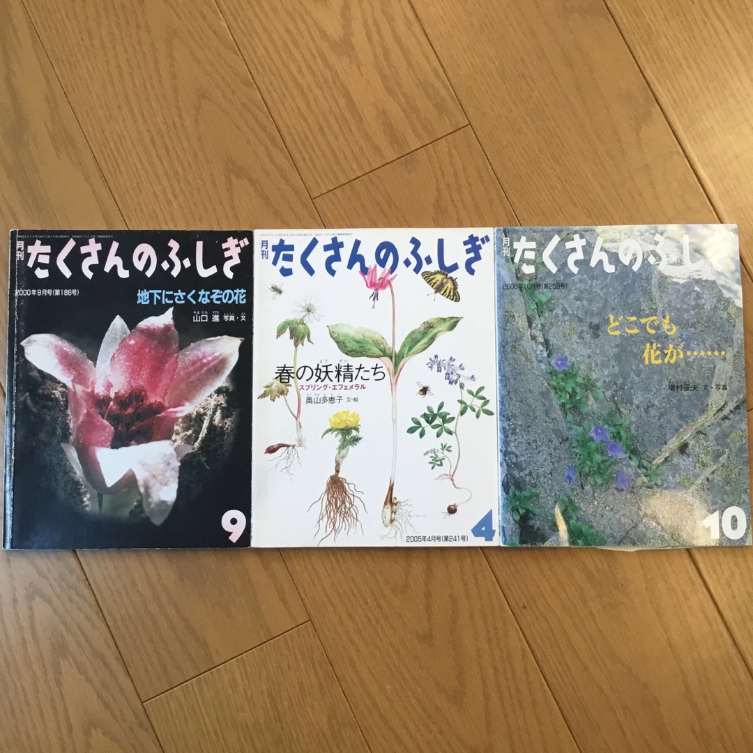 たくさんのふしぎ　花関連3冊 エンタメ/ホビーの本(絵本/児童書)の商品写真