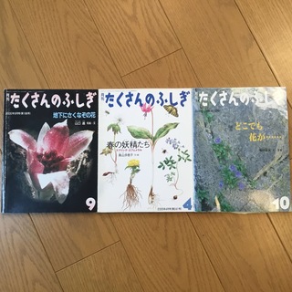 たくさんのふしぎ　花関連3冊(絵本/児童書)