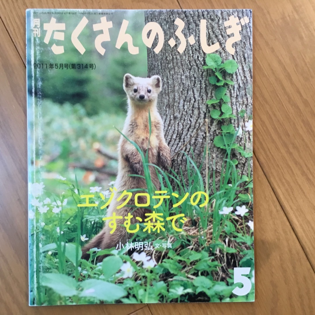 たくさんのふしぎ　小動物3冊 エンタメ/ホビーの本(絵本/児童書)の商品写真