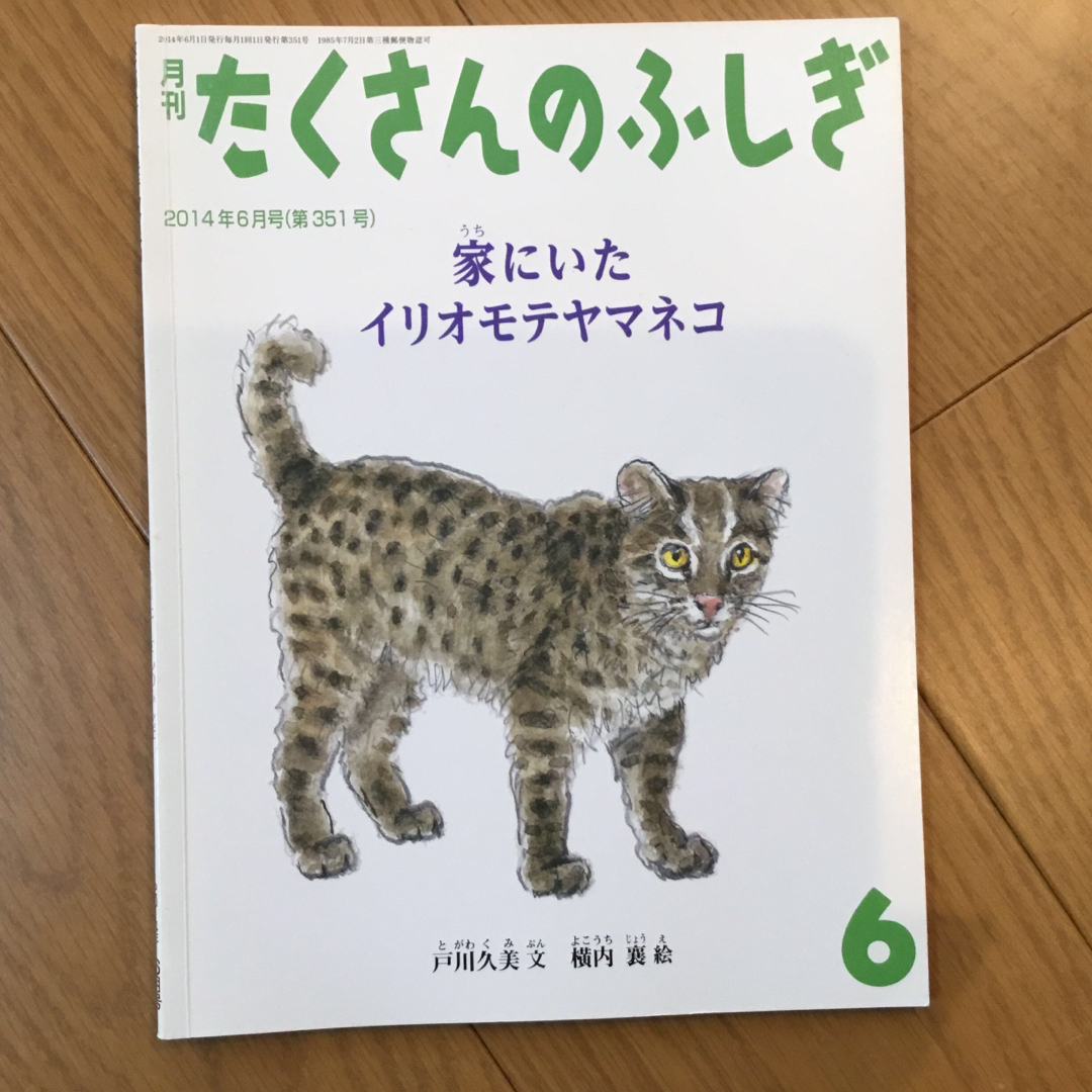 たくさんのふしぎ　小動物3冊 エンタメ/ホビーの本(絵本/児童書)の商品写真