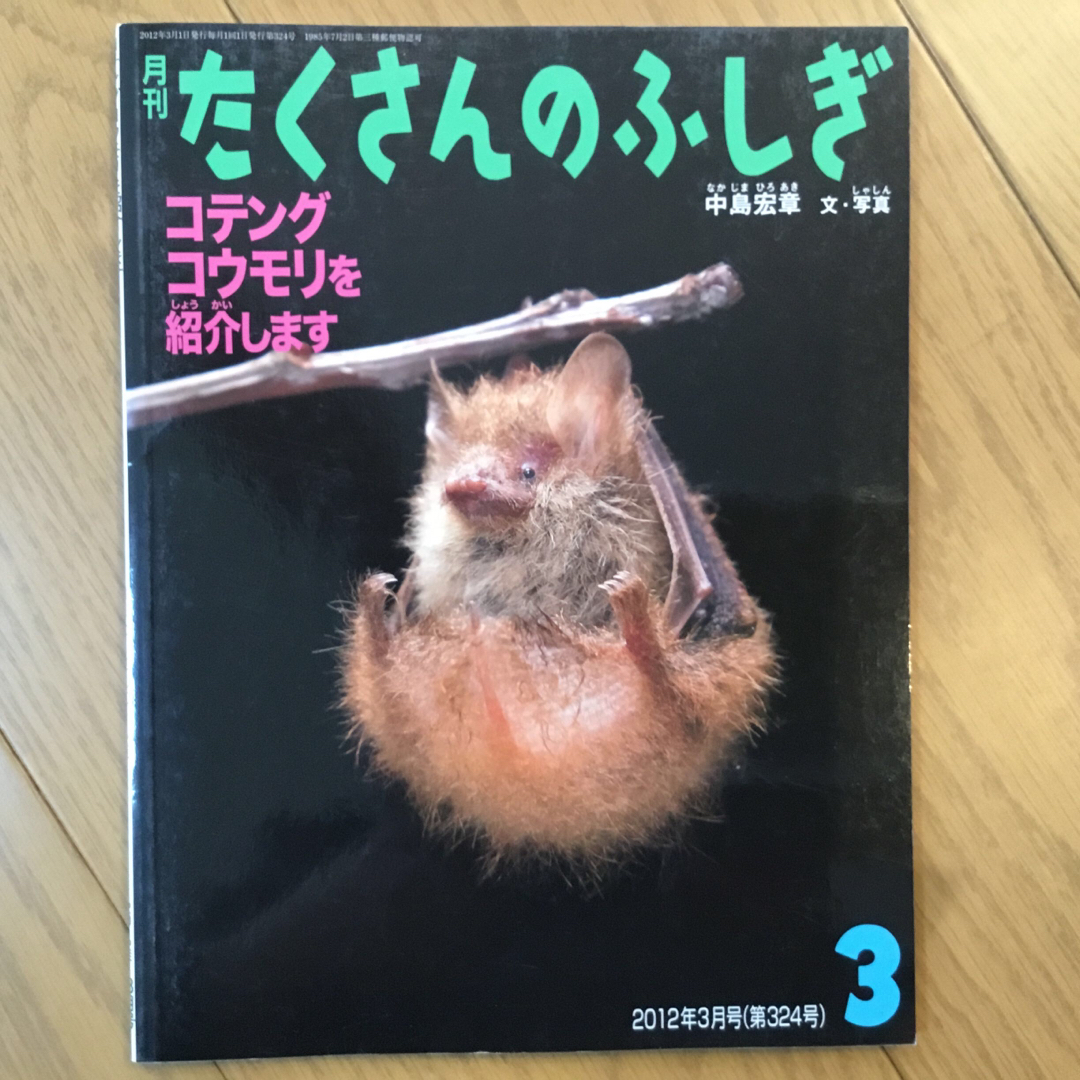 たくさんのふしぎ　小動物3冊 エンタメ/ホビーの本(絵本/児童書)の商品写真