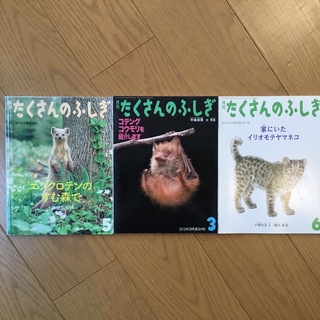 たくさんのふしぎ　小動物3冊(絵本/児童書)