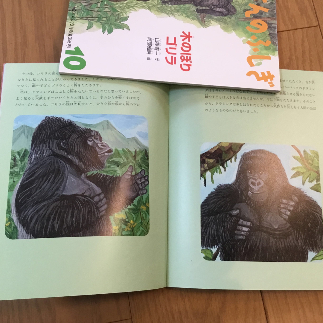 たくさんのふしぎ　ゴリラ2冊 エンタメ/ホビーの本(絵本/児童書)の商品写真