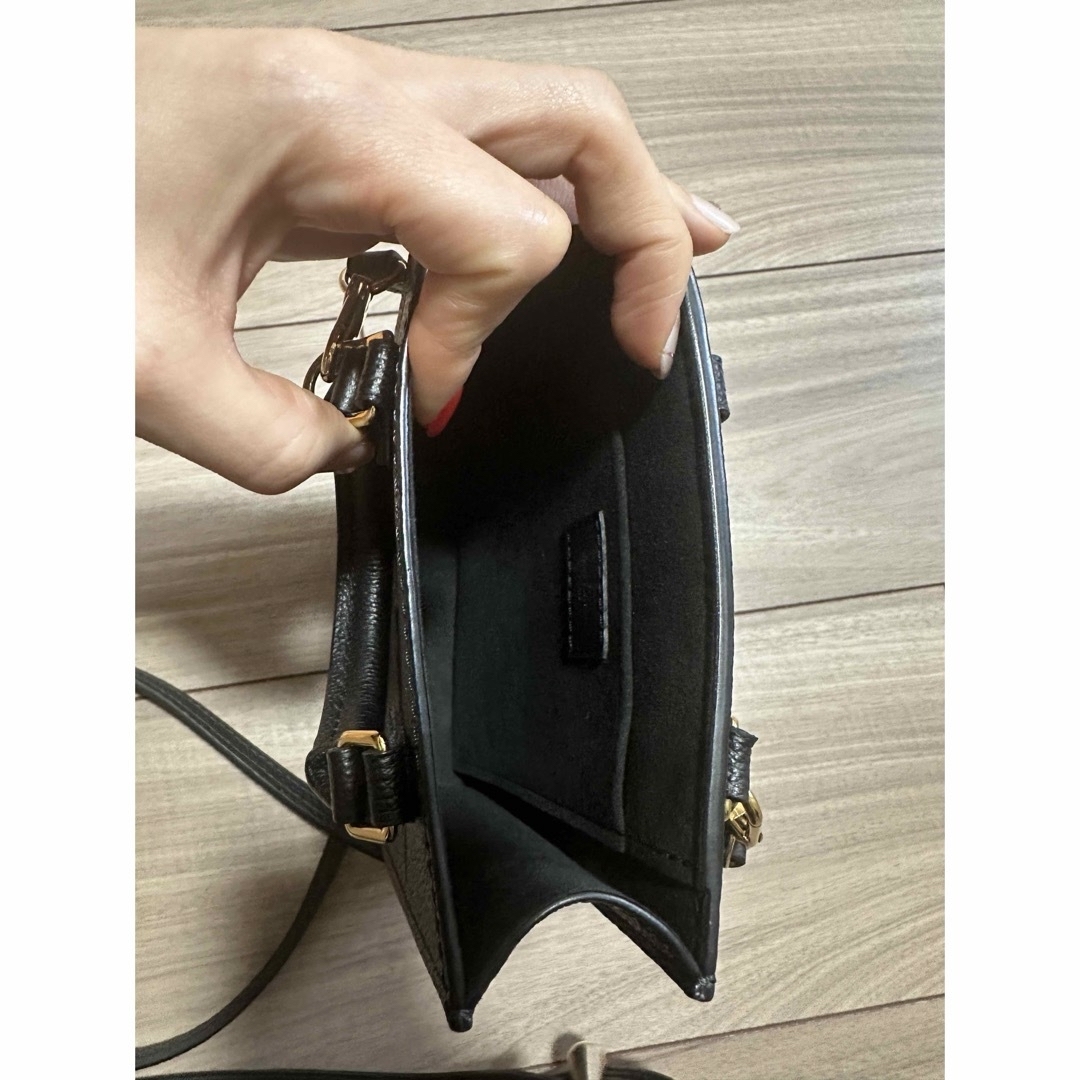 LOUIS VUITTON(ルイヴィトン)のLOUIS VUITTO プティットサックプラ アンプラント レディースのバッグ(ショルダーバッグ)の商品写真