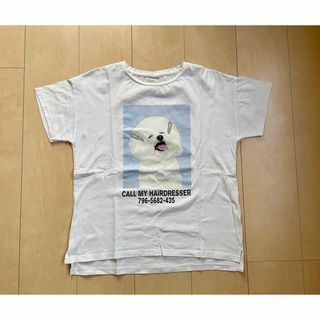 ザラキッズ(ZARA KIDS)の☆激安！［ザラキッズ　ZARA］プリントTシャツ　11〜12歳☆(Tシャツ/カットソー)