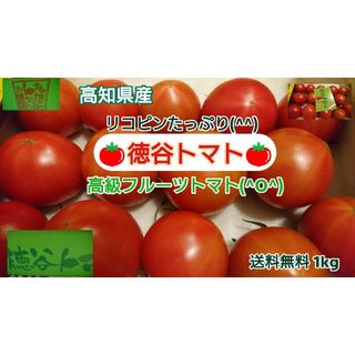 高知県産 徳谷トマト フルーツトマト 送料無料 約1kg(野菜)