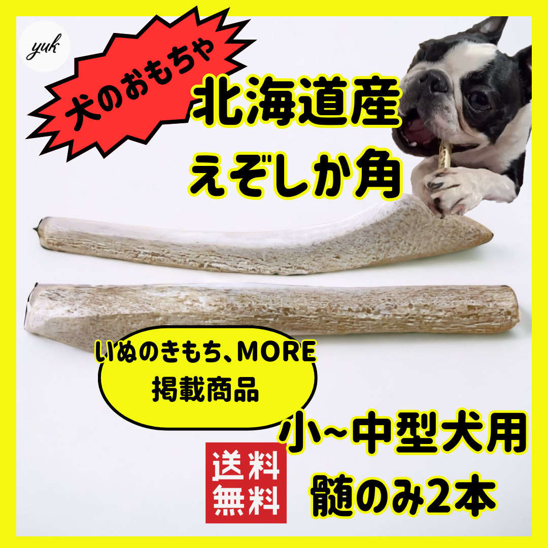 【melody3134様ご連絡用】小~中型犬用　髄のみ2本セット　犬のおもちゃ その他のペット用品(犬)の商品写真