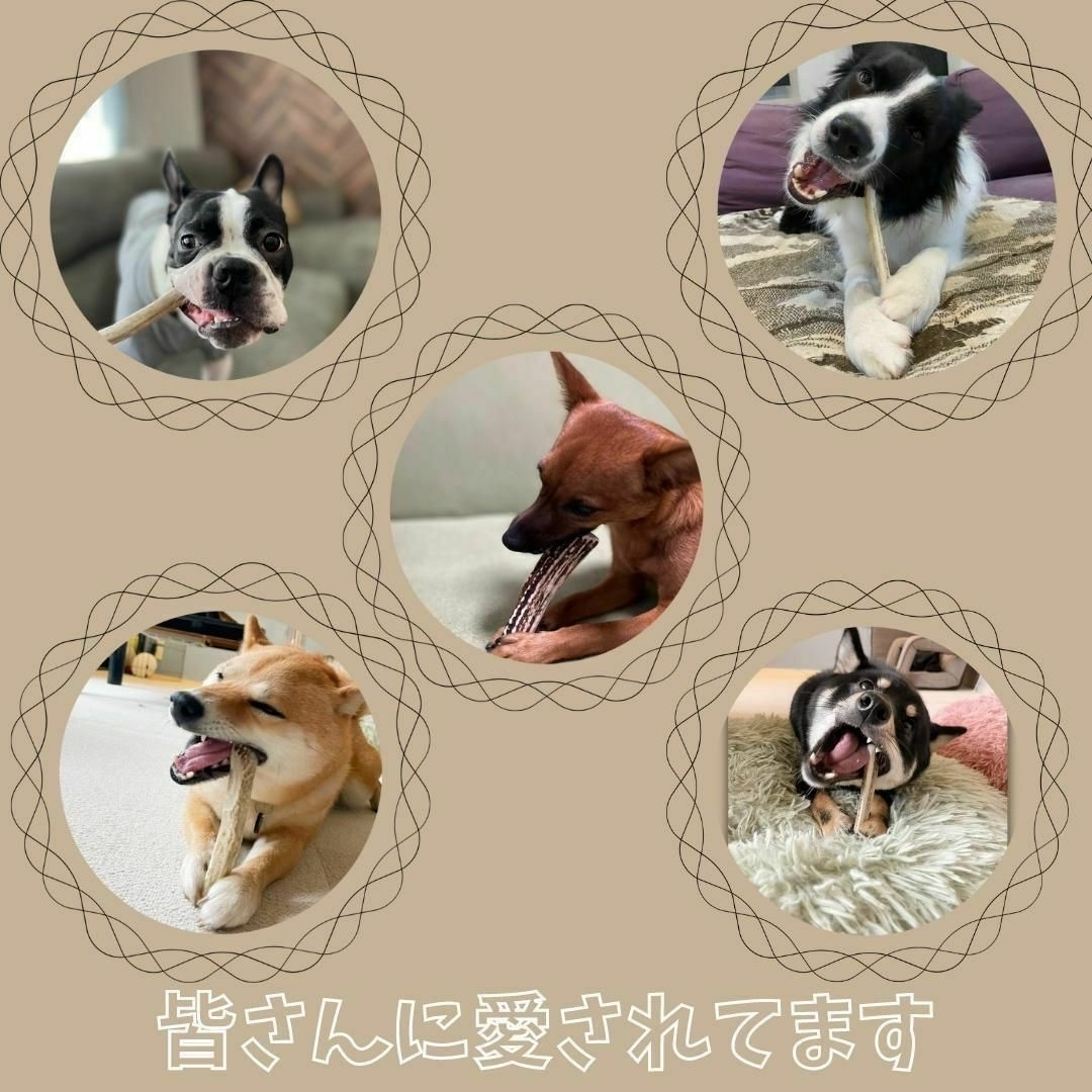 【melody3134様ご連絡用】小~中型犬用　髄のみ2本セット　犬のおもちゃ その他のペット用品(犬)の商品写真