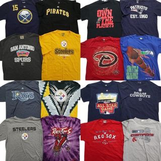 古着卸 まとめ売り プロチーム 半袖Tシャツ 16枚セット (メンズ L /XL ) NFL スティーラーズ MBL NBA レッドソックス ツインズ MR9172