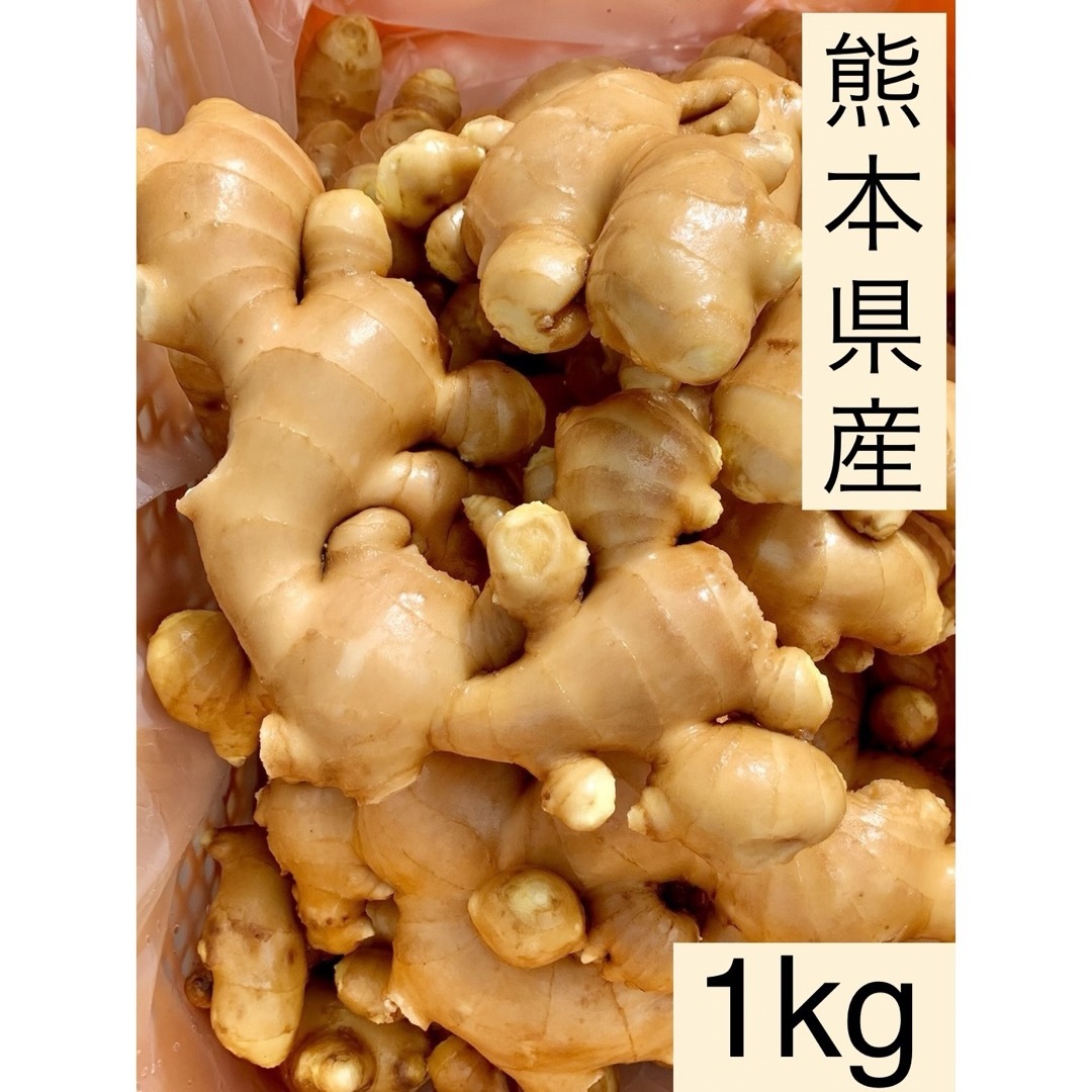 熊本県産　囲い生姜　1kg 食品/飲料/酒の食品(野菜)の商品写真