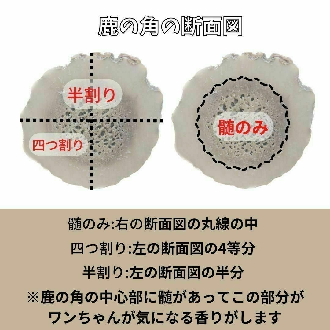 【送料無料】小~中型犬用　髄のみ　歯が心配、鹿角初めての子用　犬のおもちゃ その他のペット用品(犬)の商品写真