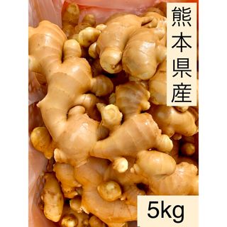 熊本県産　囲い生姜　5kg (野菜)