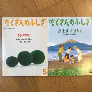 たくさんのふしぎ　まりも関連2冊(絵本/児童書)