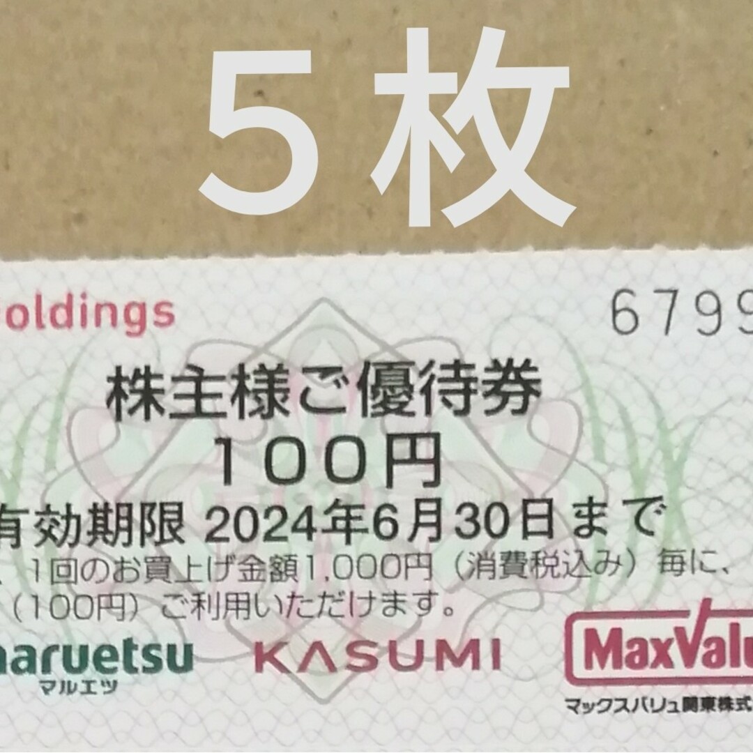 ユナイテッドスーパーマーケット100円券５枚 チケットの優待券/割引券(ショッピング)の商品写真