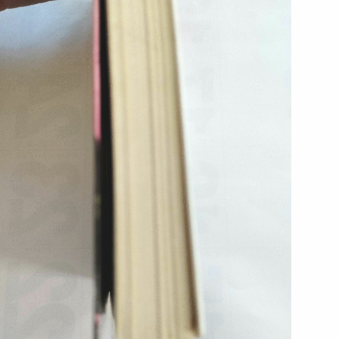 王子様とネクタイ条約 エンタメ/ホビーの本(文学/小説)の商品写真