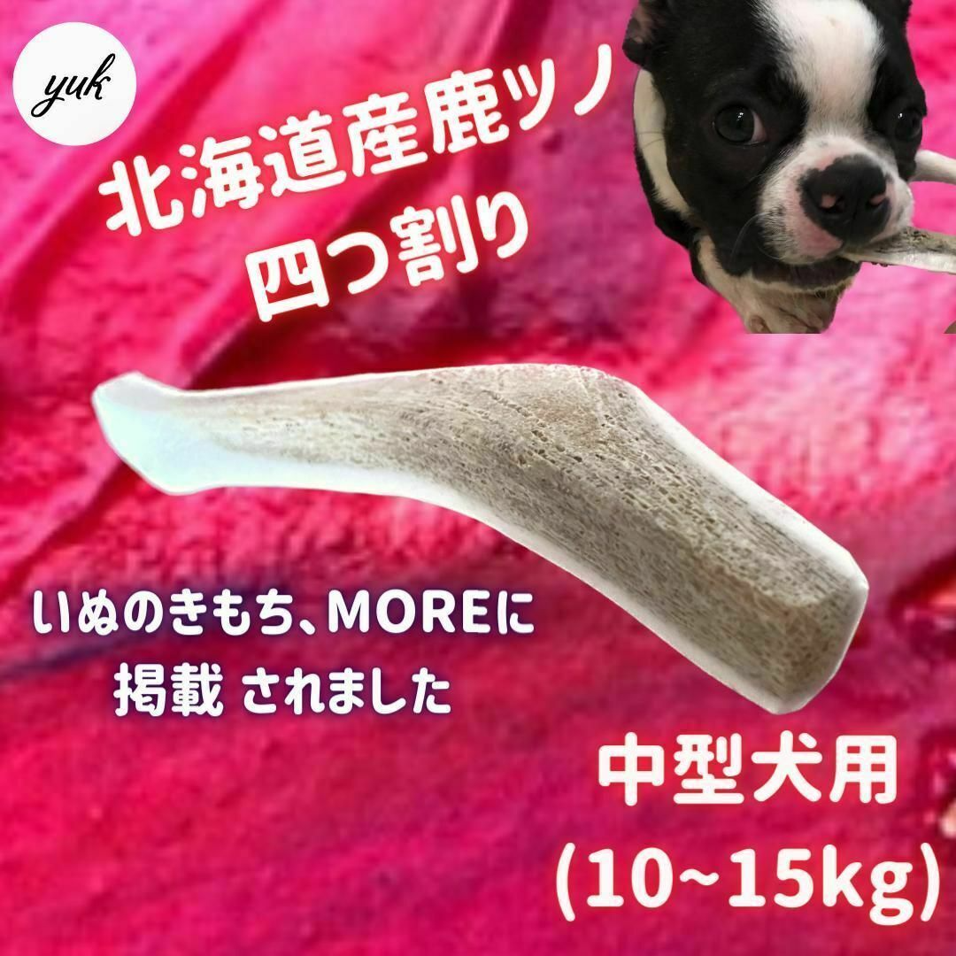 【送料無料】中型犬用　四つ割り　北海道産エゾ鹿の角　犬のおもちゃ その他のペット用品(犬)の商品写真