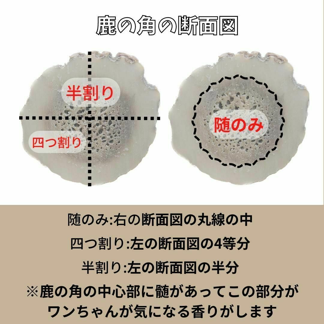 【送料無料】中型犬用　四つ割り　北海道産エゾ鹿の角　犬のおもちゃ その他のペット用品(犬)の商品写真