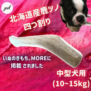 【送料無料】中型犬用　四つ割り　北海道産エゾ鹿の角　犬のおもちゃ(犬)