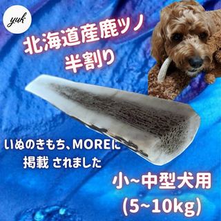 【送料無料】小〜中型犬用　半割り　北海道産エゾ鹿の角　犬のおもちゃ(犬)