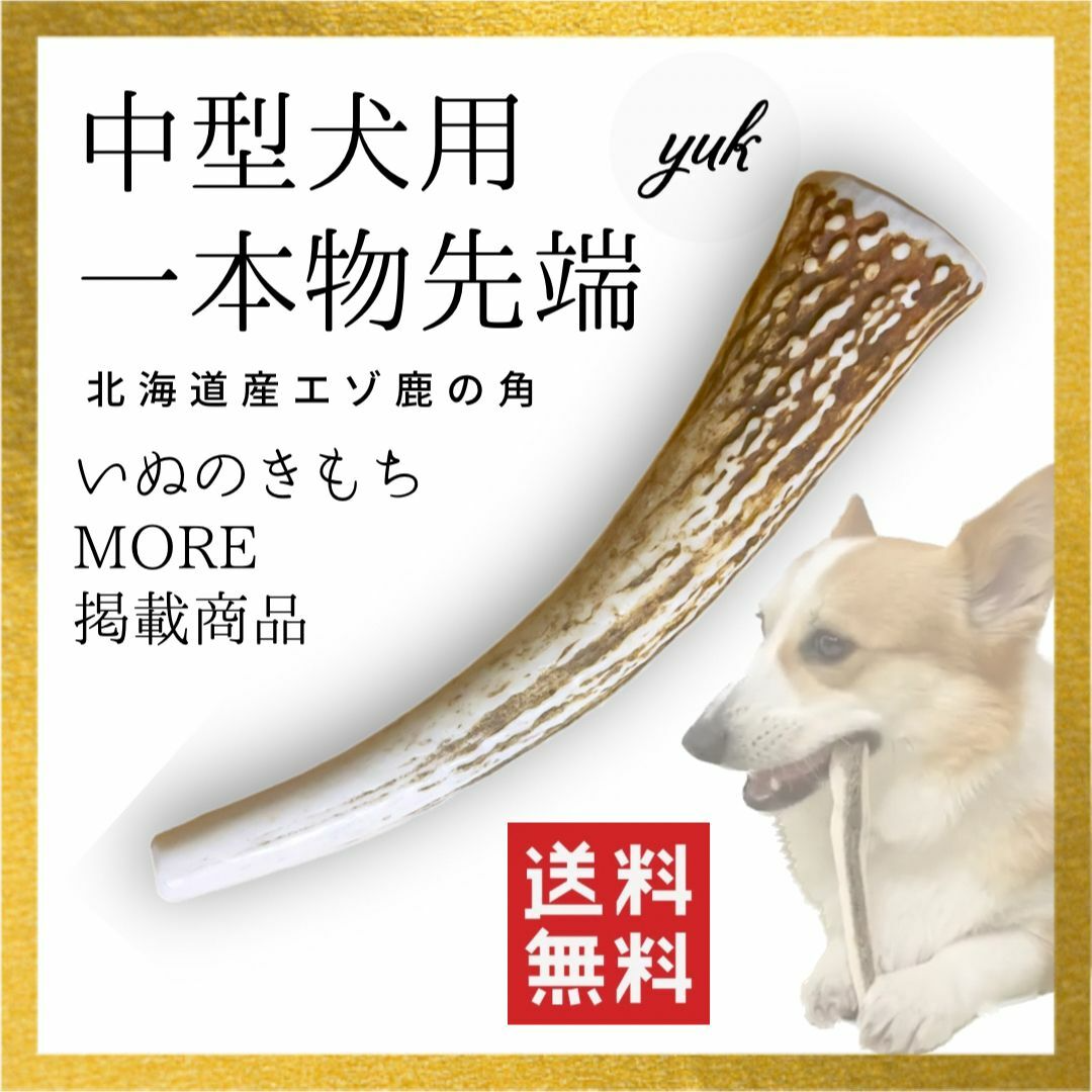 【24時間以内発送】中型犬用　一本物　先端　北海道産鹿の角　犬のおもちゃ その他のペット用品(犬)の商品写真