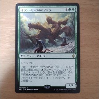 マジックザギャザリング(マジック：ザ・ギャザリング)のmtg オランリーフのハイドラ(シングルカード)