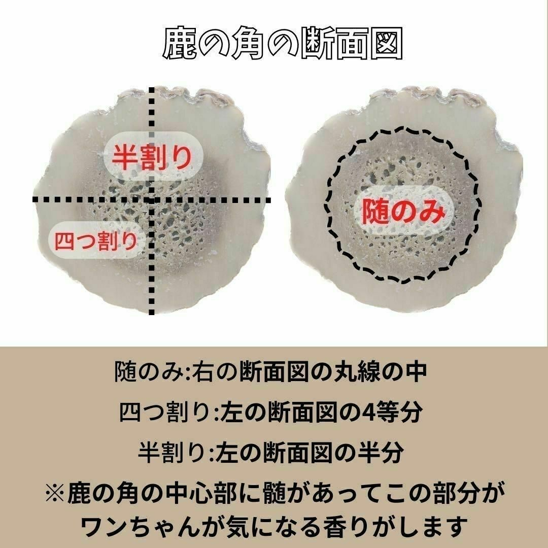 【送料無料】小型犬用　四つ割り　2本セット　北海道産エゾ鹿の角　犬のおもちゃ その他のペット用品(犬)の商品写真