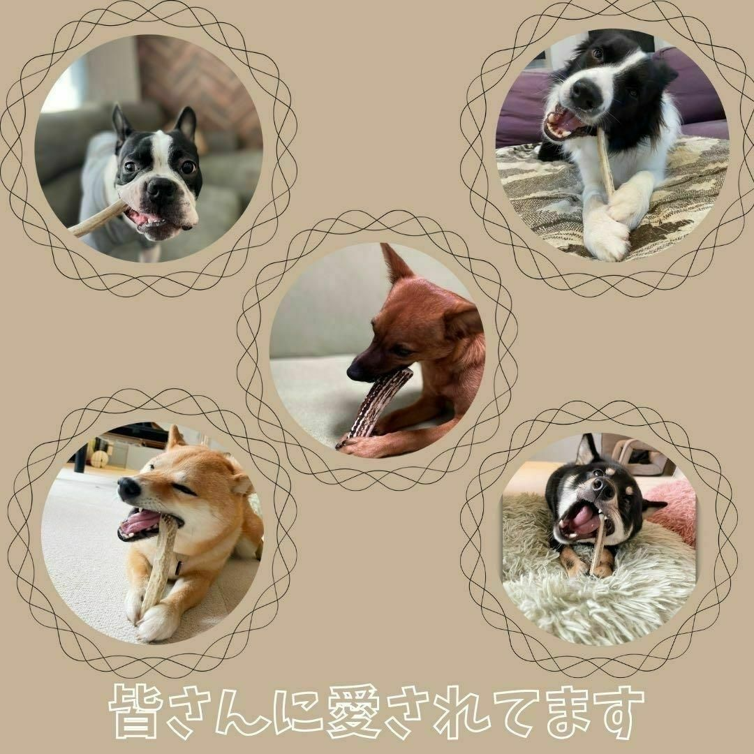 【送料無料】小型犬用　四つ割り　2本セット　北海道産エゾ鹿の角　犬のおもちゃ その他のペット用品(犬)の商品写真