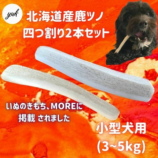 【送料無料】小型犬用　四つ割り　2本セット　北海道産エゾ鹿の角　犬のおもちゃ(犬)