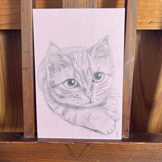 tukio直筆イラスト／鉛筆画／猫の絵(絵画/タペストリー)