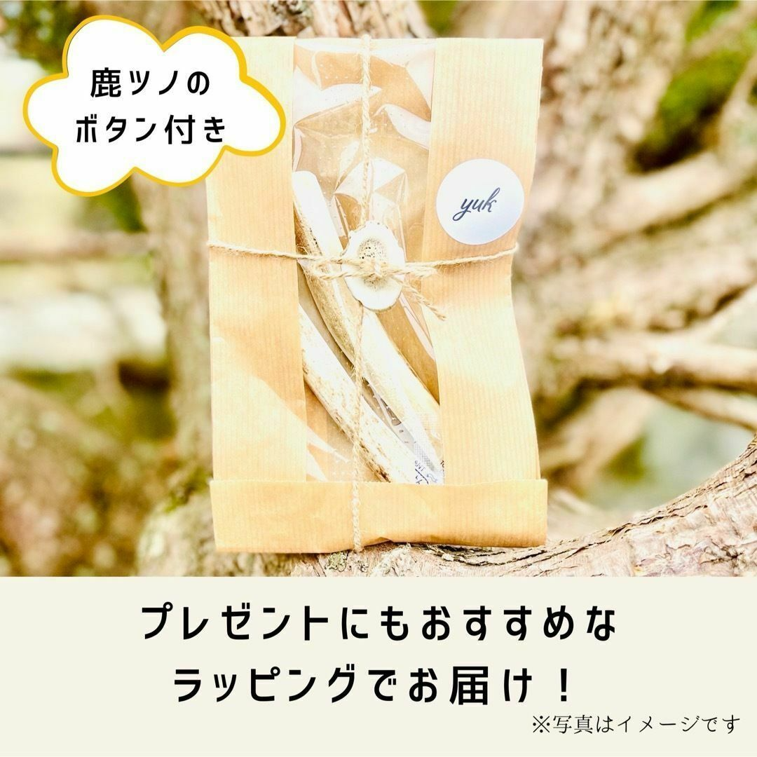 【送料無料】小型犬用　四つ割り＆半割りセット 北海道産エゾ鹿の角　犬のおもちゃ その他のペット用品(犬)の商品写真