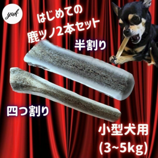 【送料無料】小型犬用　四つ割り＆半割りセット 北海道産エゾ鹿の角　犬のおもちゃ(犬)
