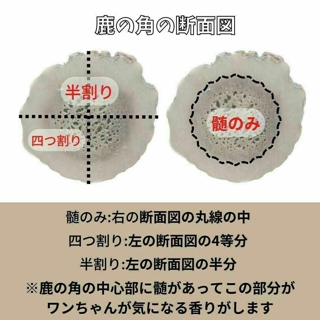 【24時間以内発送】超小型犬用　髄のみ　歯が心配、初めての子用　犬のおもちゃ その他のペット用品(犬)の商品写真