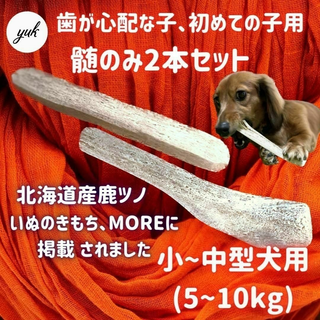 【プレゼントにもオススメ】小~中型犬用　髄のみ　2本セット　鹿角　犬のおもちゃ(犬)