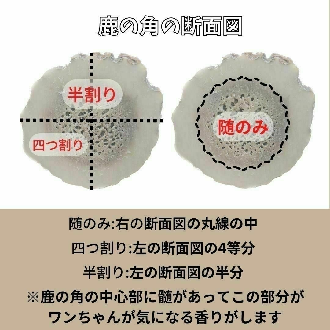 【フォロー割り開始】超小型犬用　髄のみ＆四つ割りセット　鹿の角　犬のおもちゃ その他のペット用品(犬)の商品写真